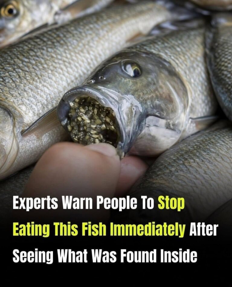 Before You Eat This Fish Again… Here’s What Experts Say You Should Know About It. See More