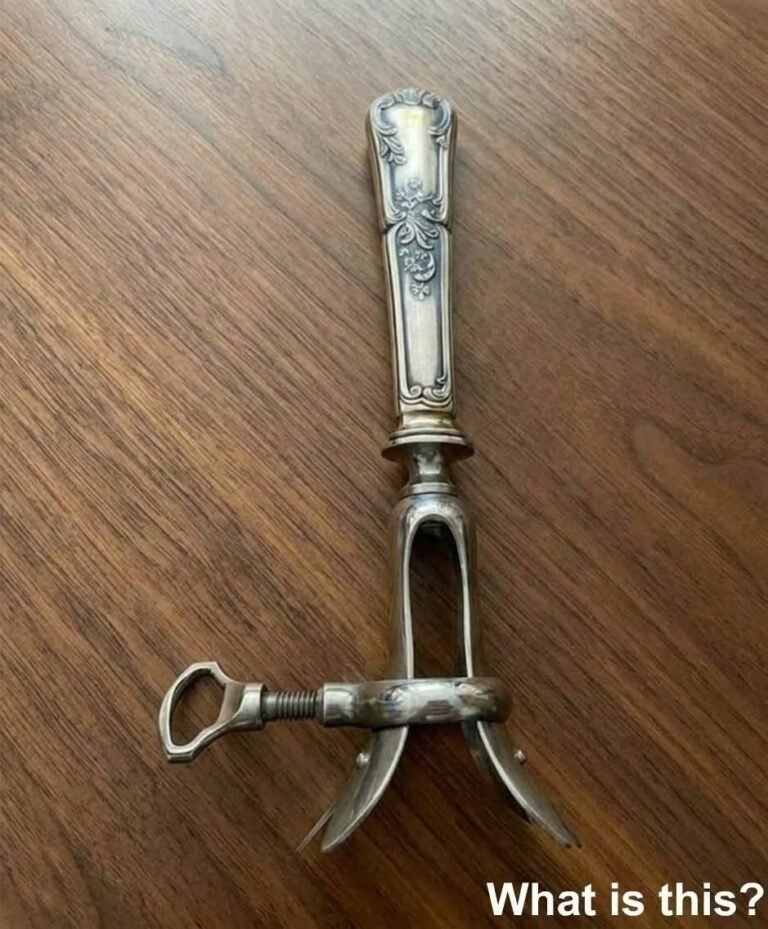 The Mysterious Item Hidden in My Grandmother’s Drawer Turned Out to Have a Fascinating History