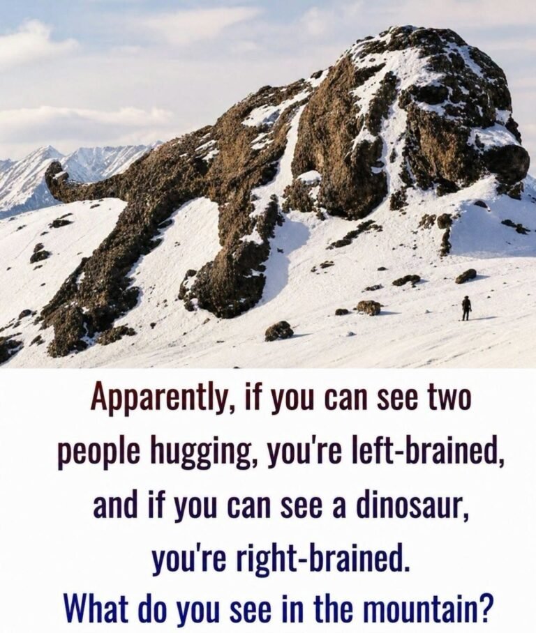 Visual brain-scan challenge… ㅤ