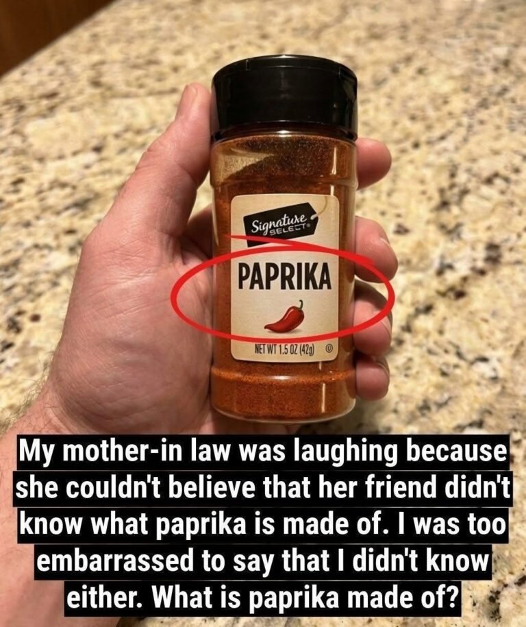 What Is Paprika Made Of? The Truth About This Popular Spice (No, It’s Not Bugs!)